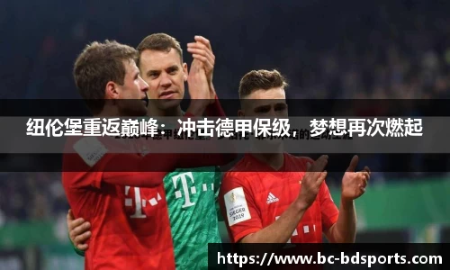 半岛体育官网