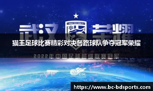 半岛体育官方网站