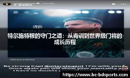 半岛体育APP