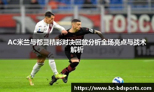 半岛体育官网