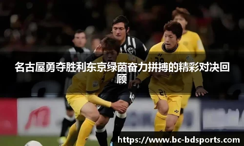 半岛体育APP