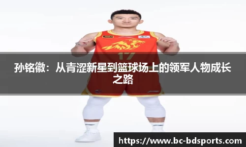 半岛体育APP