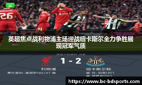 半岛体育APP