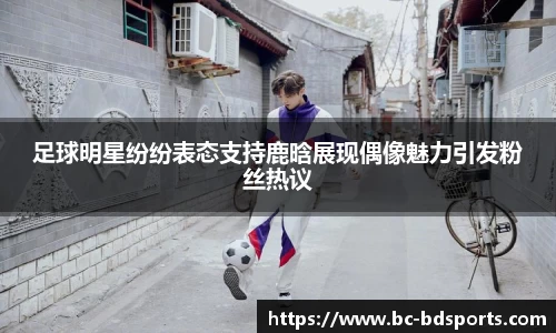 半岛体育官网