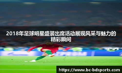 半岛体育官网