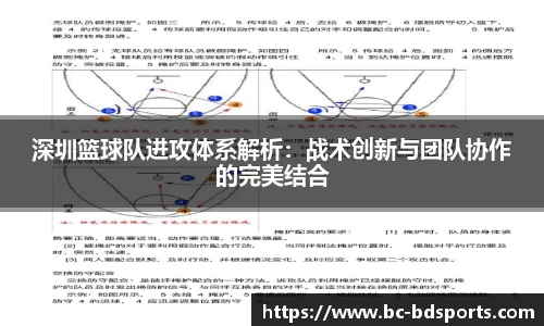 半岛体育官方网站